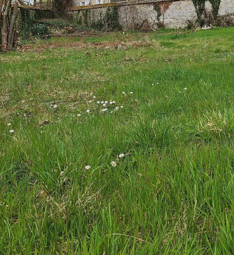 Photo maison Terrain de 413 m² + maison