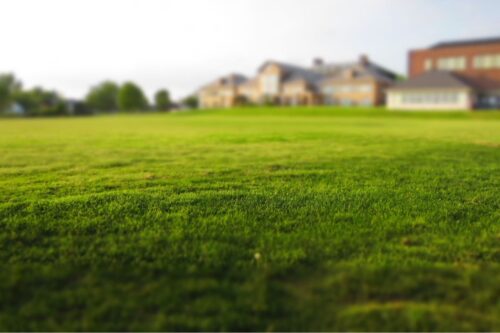 Beau terrain constructible disponible à Lagny-sur-Marne (77400)