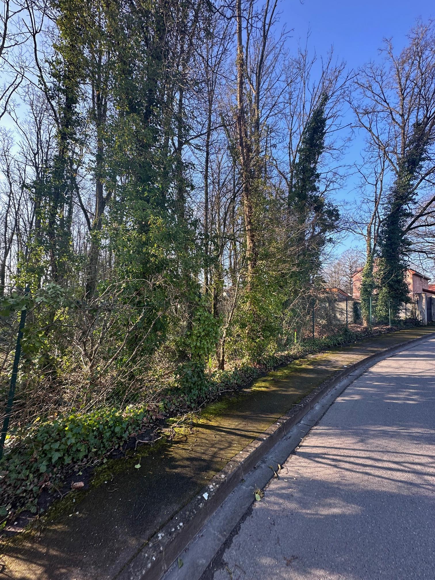 Beau terrain viabilisé en vente à Montlhéry