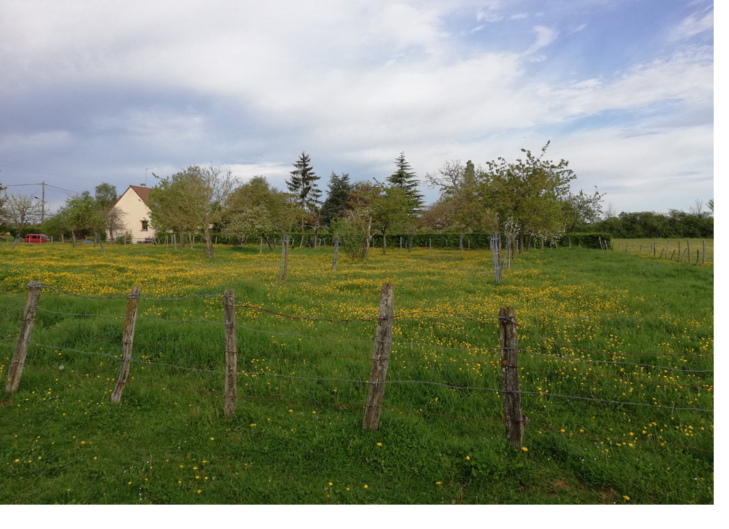 Photo maison 1160 m² sans vis à vis