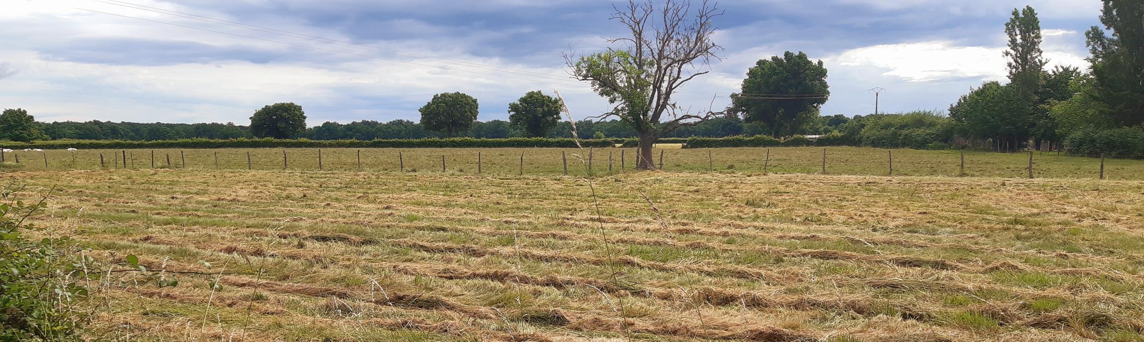 Photo maison Terrain plat et viabilisé - 834 m2 limitrophe