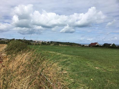 Terrain constructible 800