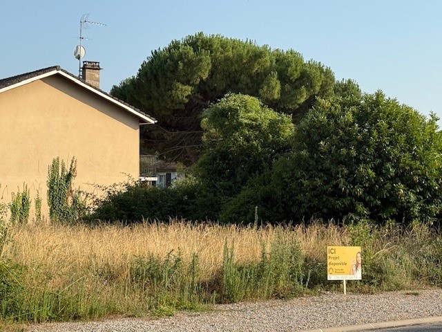 vente Terrain et Maison à construire Villemoirieu (38) 2