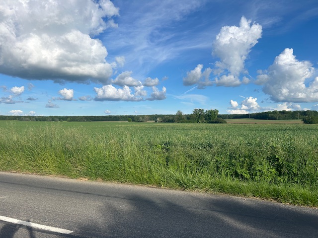 Photo maison Thoiry 78770