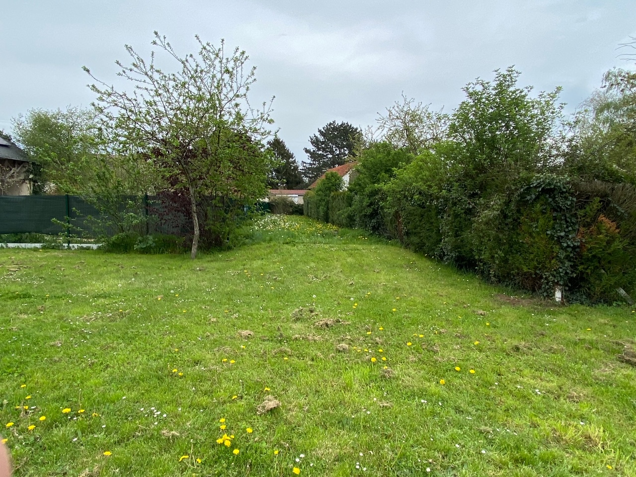 Photo maison Thoiry 78770