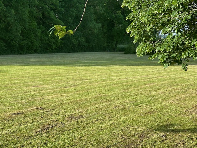 Photo maison La Queue-les-Yvelines 78940