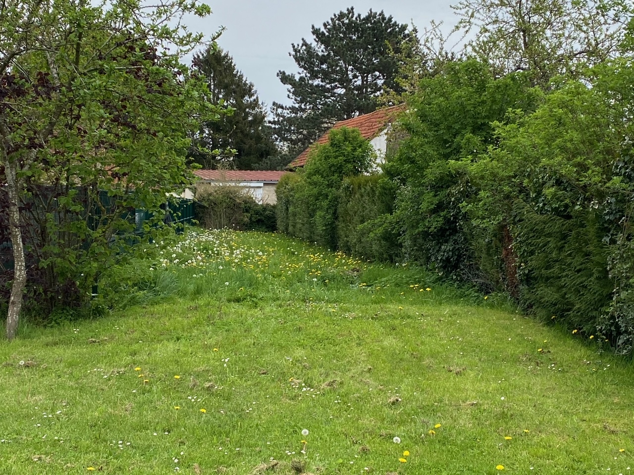 Photo maison Terrain constructible 300 m² ? Saulx-Marchais