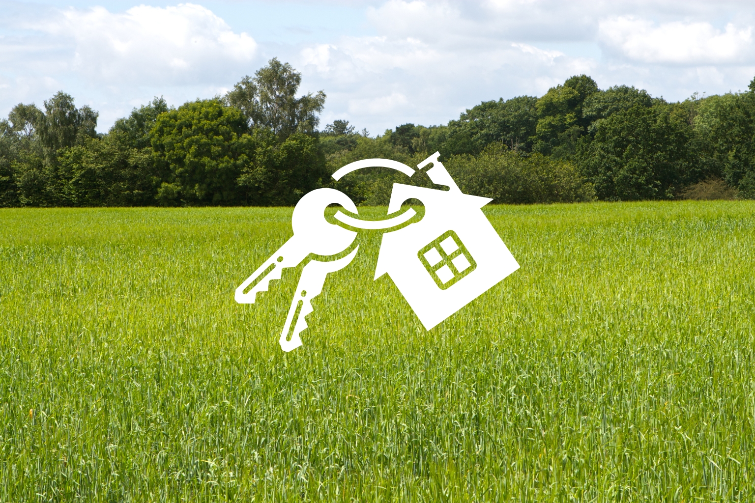 Photo maison TERRAIN VIABILISE