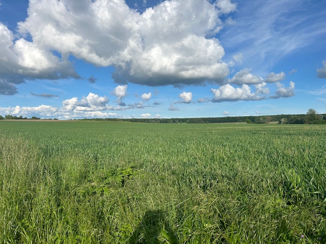 Photo maison Rare sur le secteur terrain 820 M&sup2; viabilis&eacute;