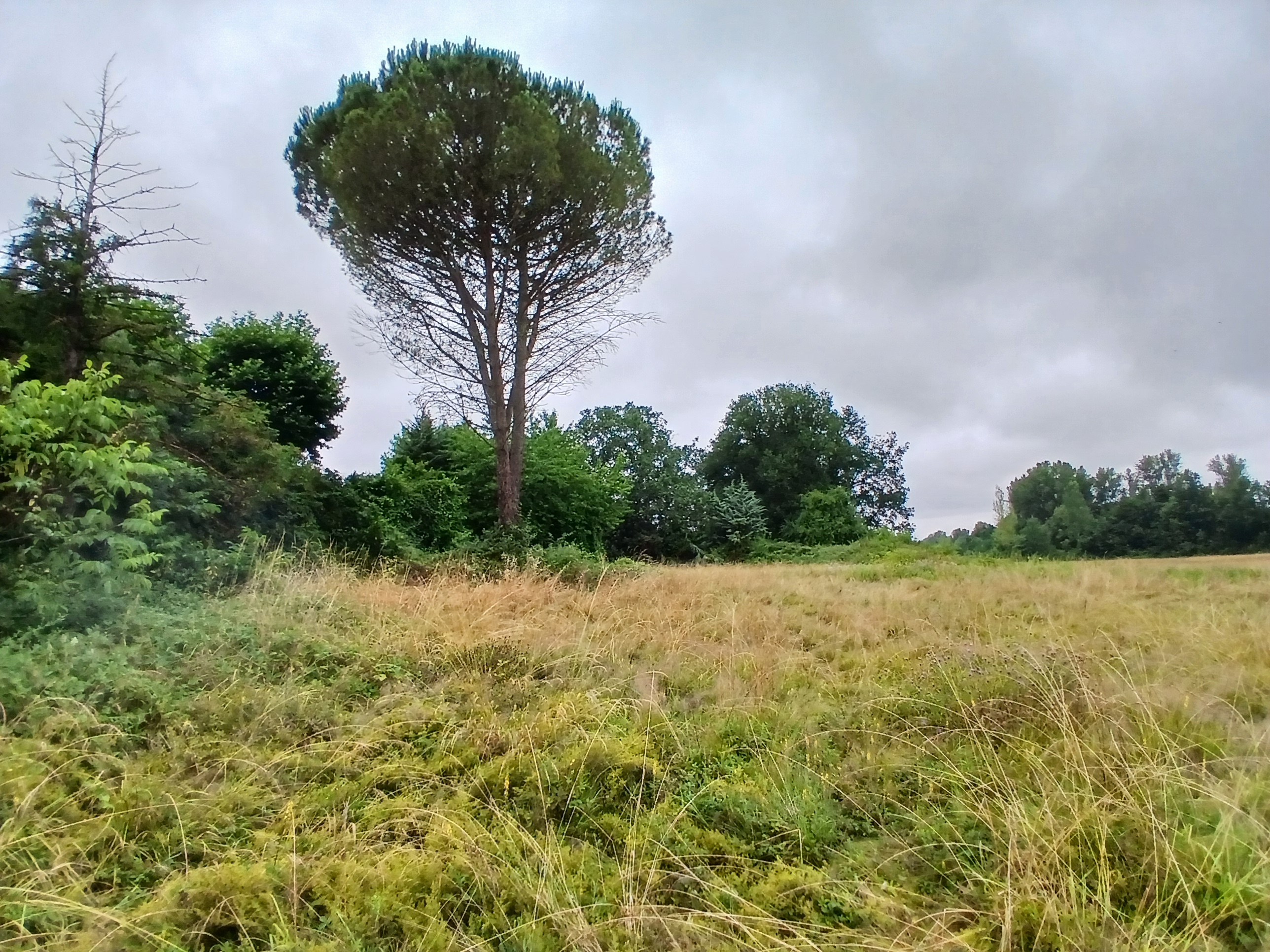 Votre futur cocon au calme à Parisot à partir de 44756€