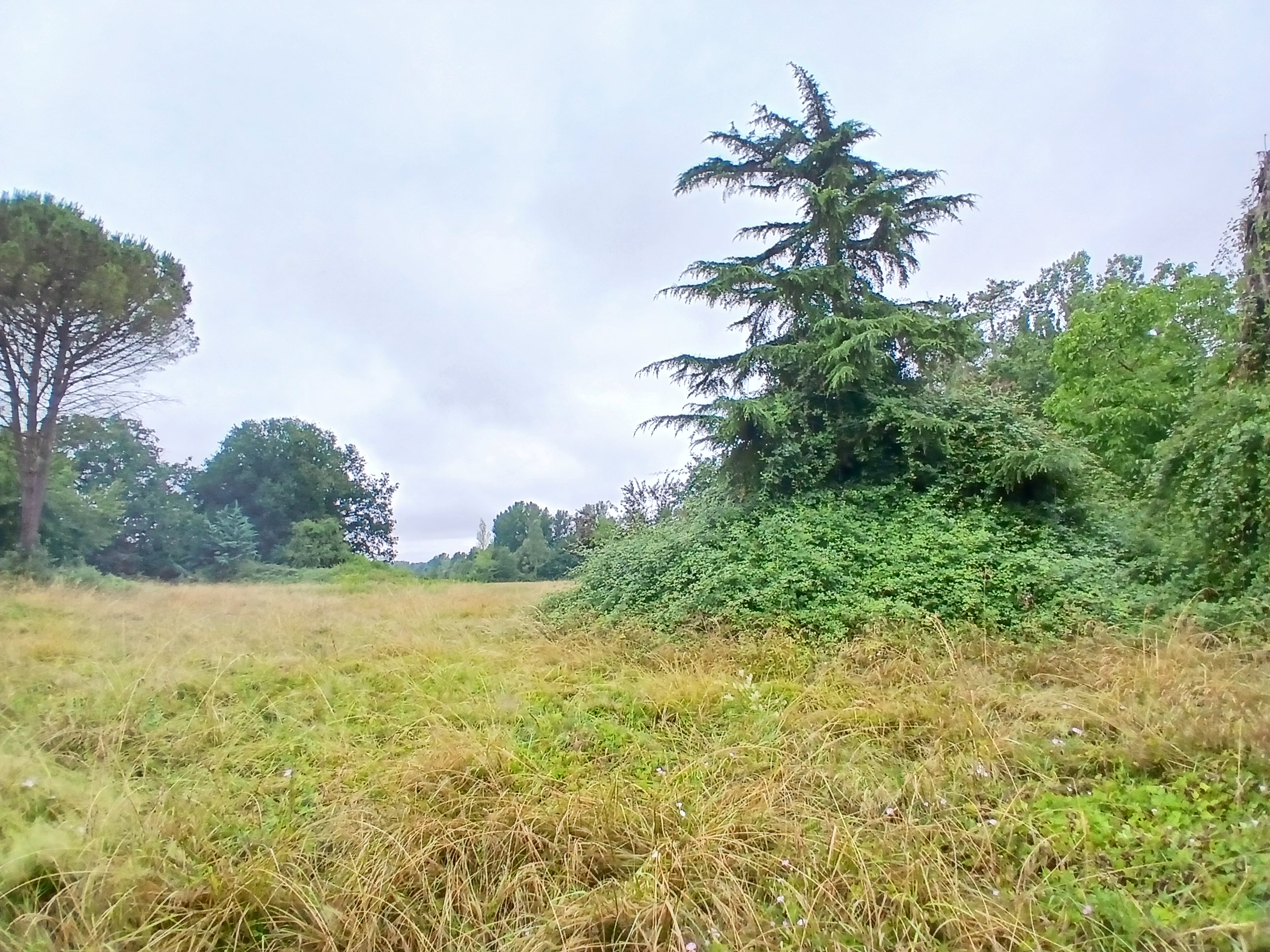 Espace et vie de village : votre projet de construction à partir de 53 533€