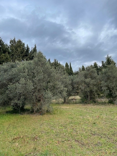 LAMBESC – Terrain à bâtir de 512 m² – 199 000 €