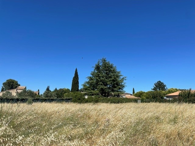 Mouriès – Au cœur des Alpilles