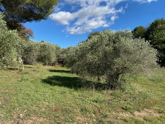 ?? Terrain de 450m² à mollans sur ouvèze
