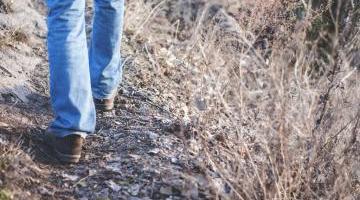 Acheter un terrain : quelles sont les étapes à suivre ?