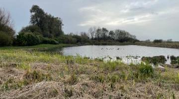 Vente terrain 15 970 m²