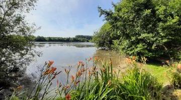 Vente maison 6 p. 120 m²
