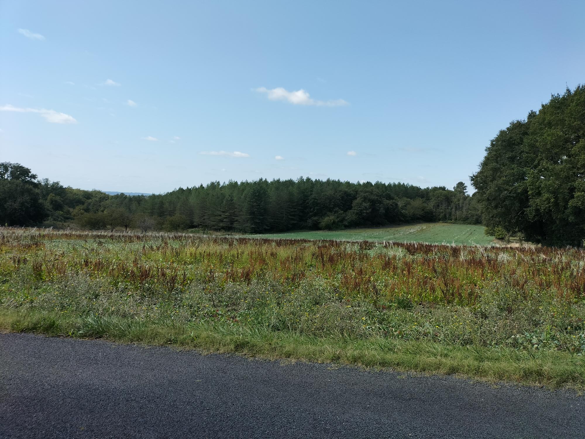 Maison et terrain constructible à Fossemagne