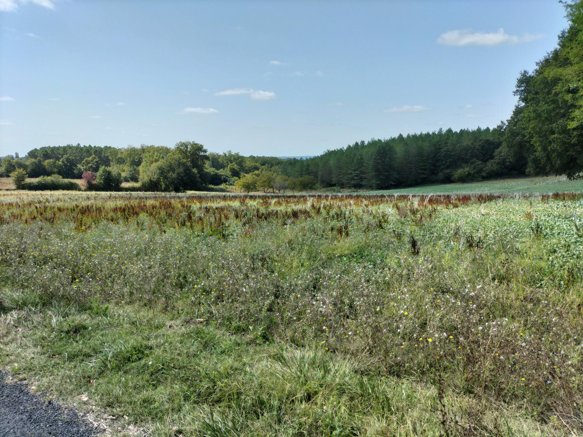 Maison et terrain constructible à Fossemagne