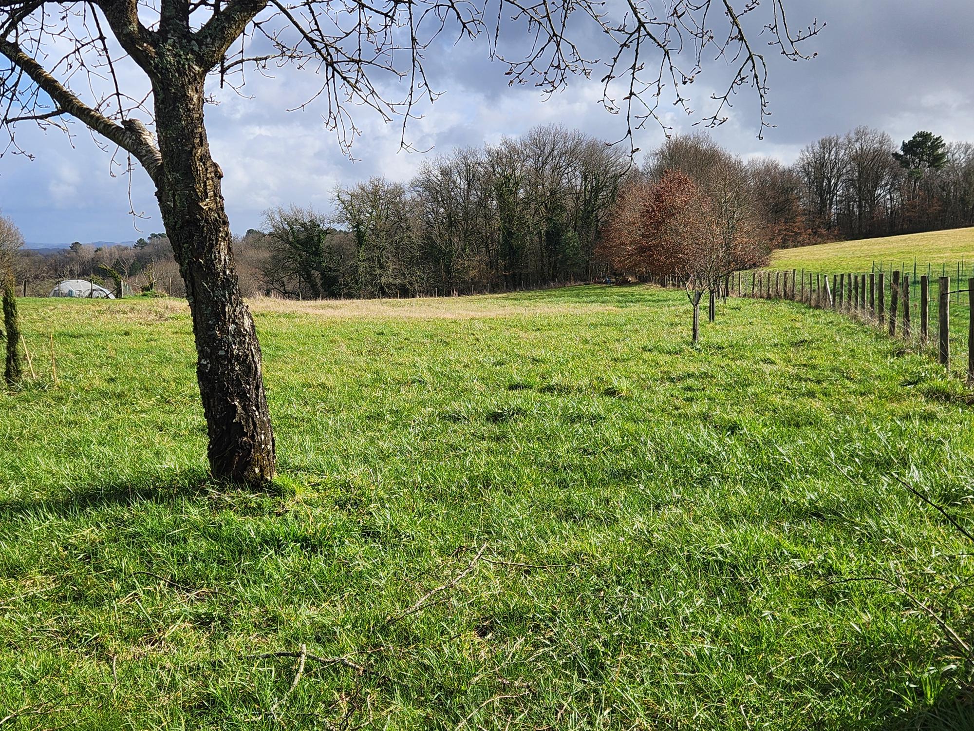 Maison et terrain constructible à Rouffignac-Saint-Cernin-de-Reilhac