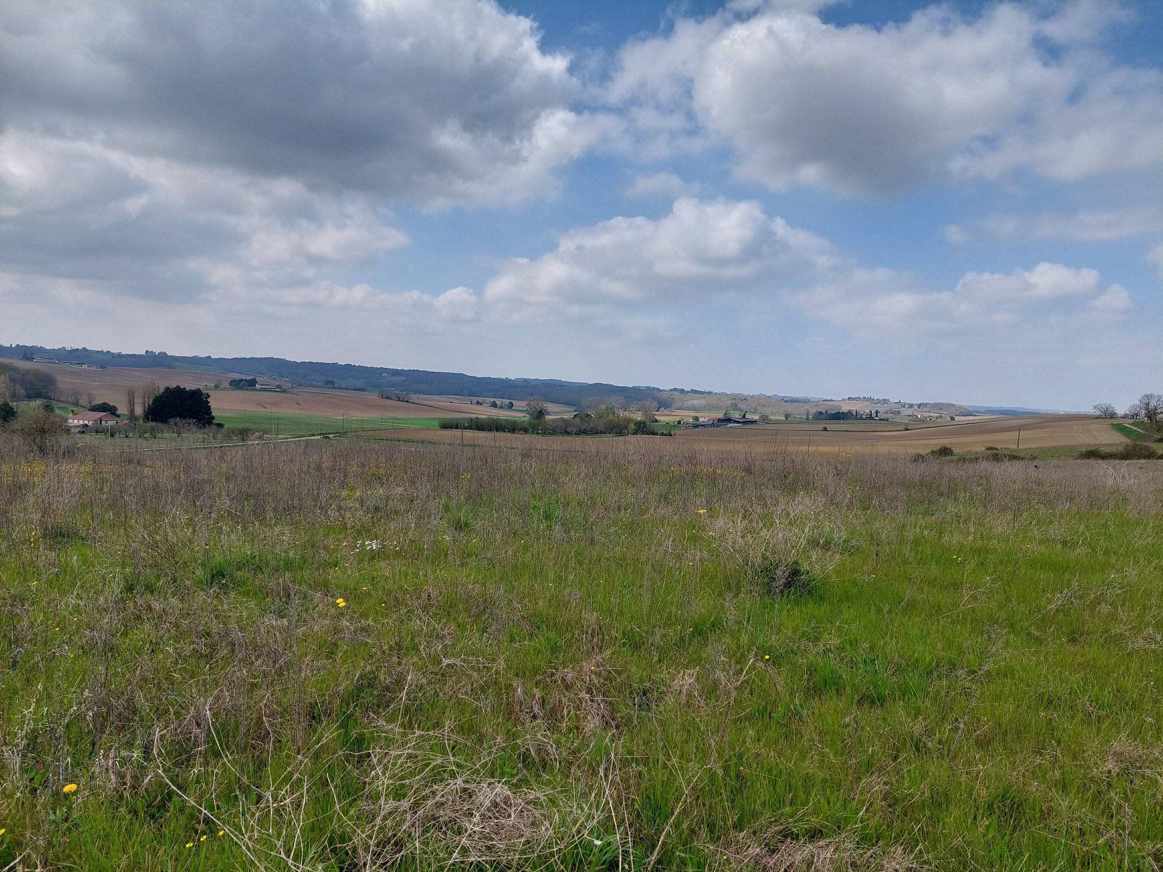 Maison et terrain constructible à Lévignac-de-Guyenne