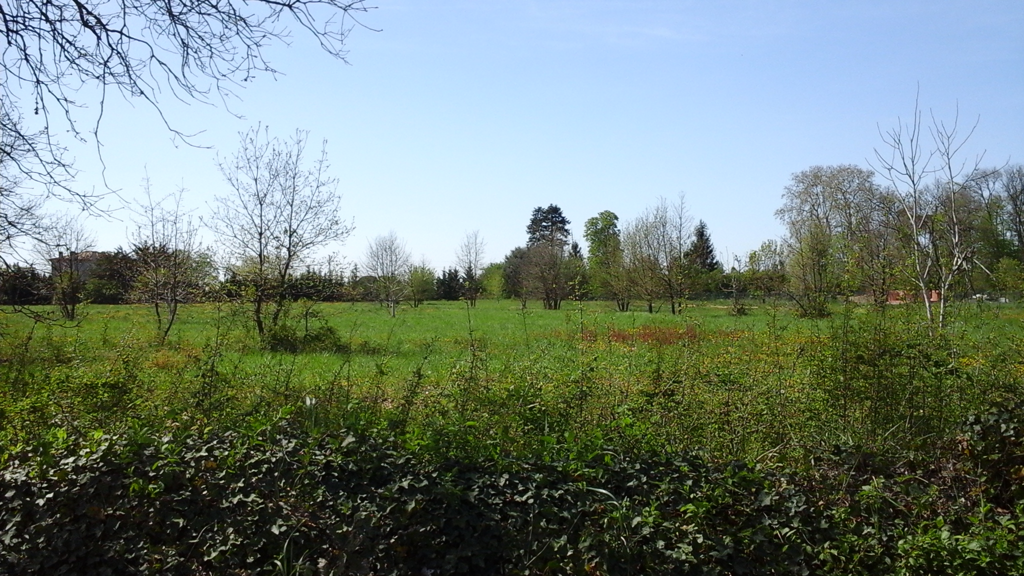 Maison et terrain constructible à Artigues-près-Bordeaux