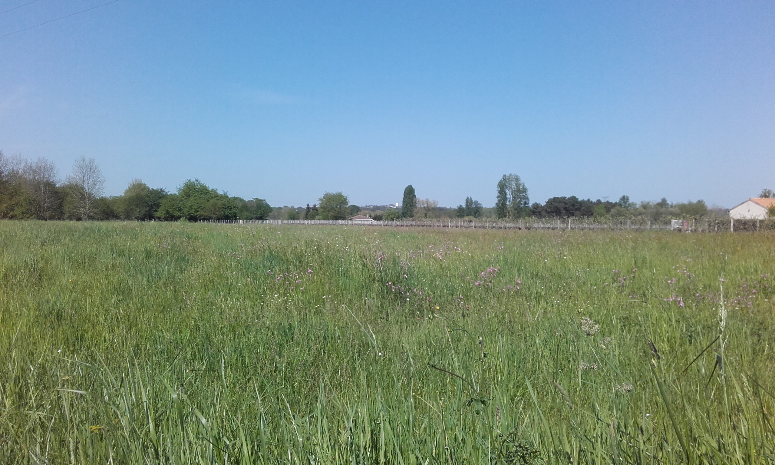 Maison et terrain constructible à Daignac