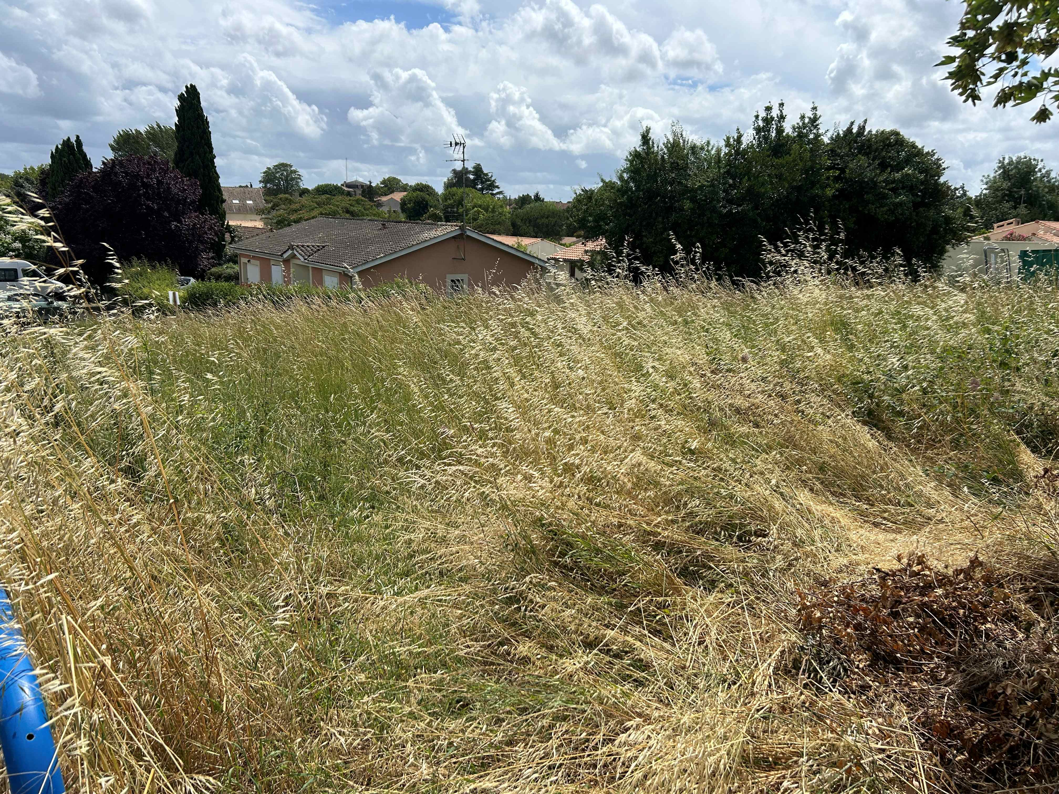 Plein centre de Blaye