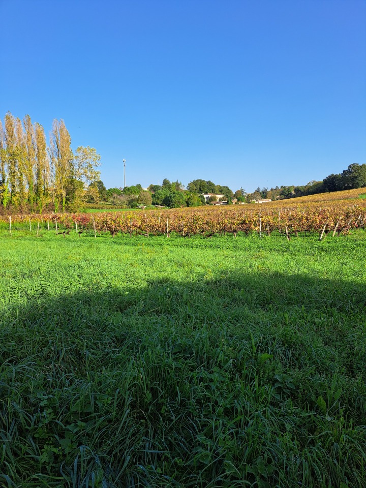 terrain constructible viabilisé en vente à Lugon-et-l'Île-du-Carnay