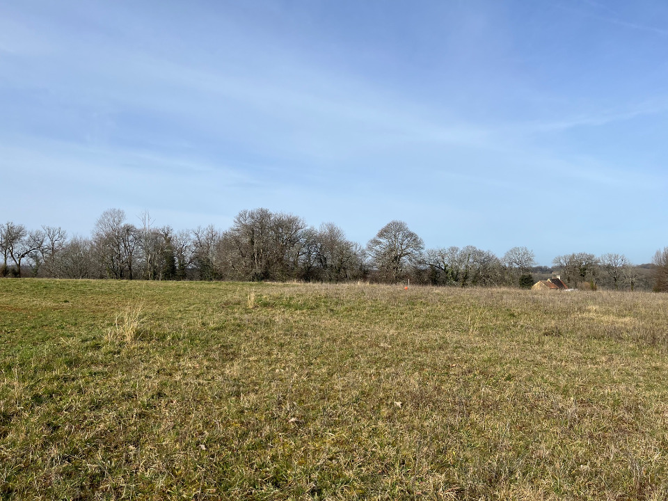 Agréable terrain à vendre disponible à Salignac-Eyvigues (24590)