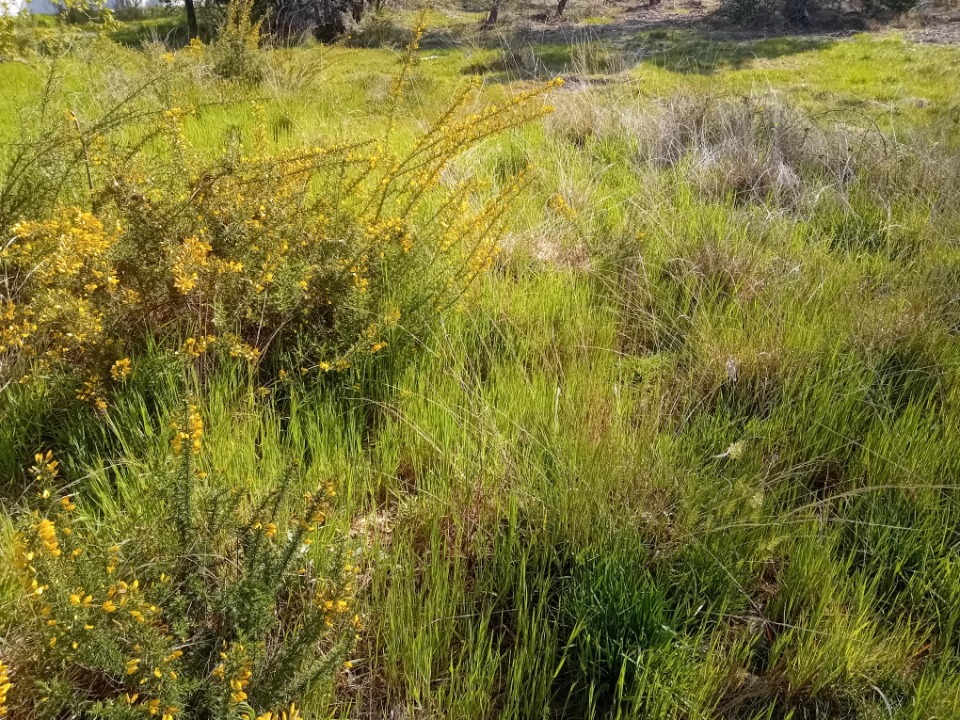 terrain à vendre viabilisé de 160m2 à Arcachon