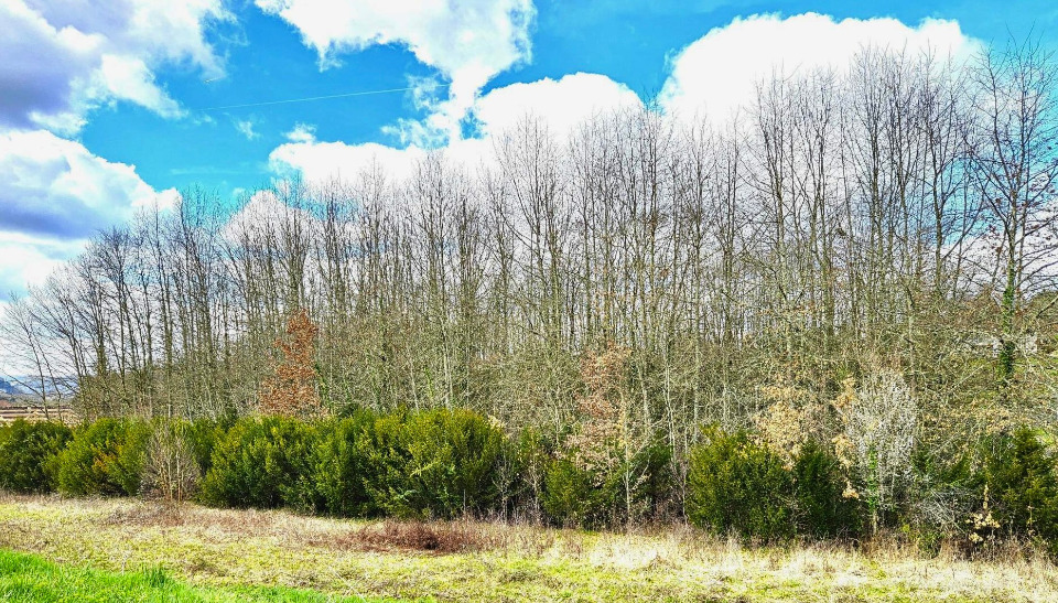 Joli terrain constructible viabilisé à Peyrillac-et-Millac