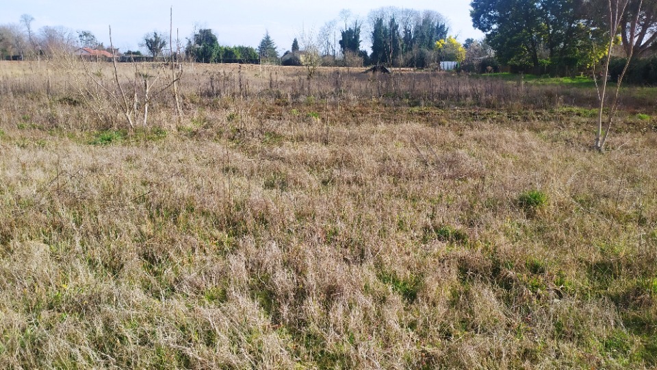 Magnifique terrain en vente à Preignac
