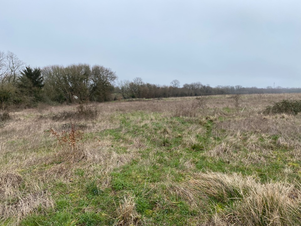 Joli terrain viabilisé en vente à Pont-l'Abbé-d'Arnoult (17250)
