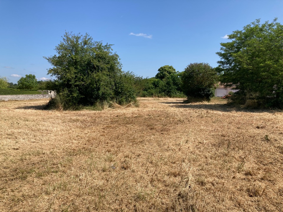 Très beau terrain à batir viabilisé de 661m2 en vente à Corme-Écluse (17600)