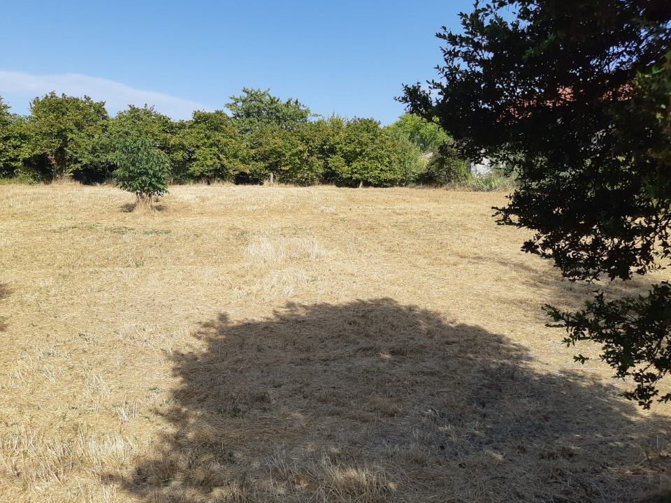 terrain à batir viabilisé disponible à Matha (17160)