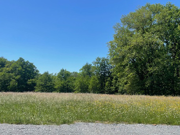 terrain à construire de 1000m2 à Boulazac
