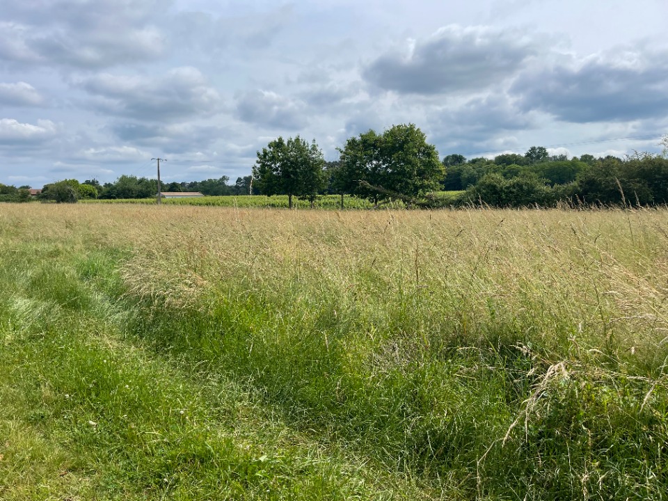 terrain constructible à Langon (33210)