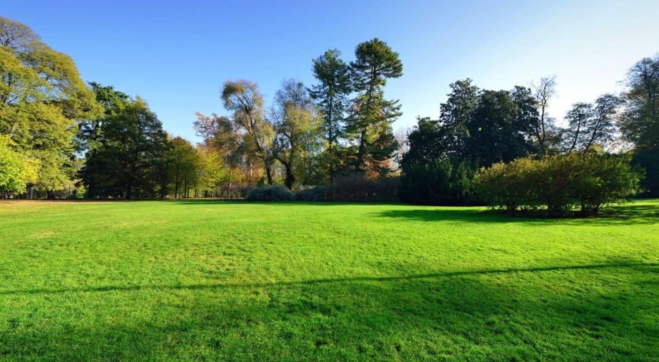 terrain constructible en vente à Saint-Sulpice-et-Cameyrac (33450)