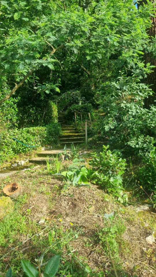 Offre de terrain de 1100m2 en vente à Arcachon