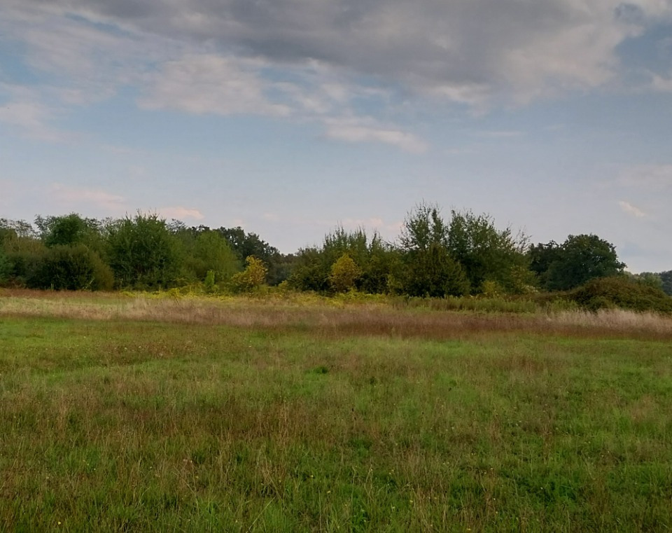 terrain viabilisé de 520m2 disponible à Castelnau-de-Médoc