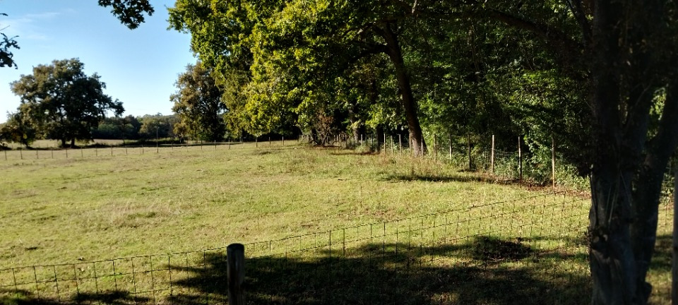 terrain constructible de 630m2 à Croignon (33750)