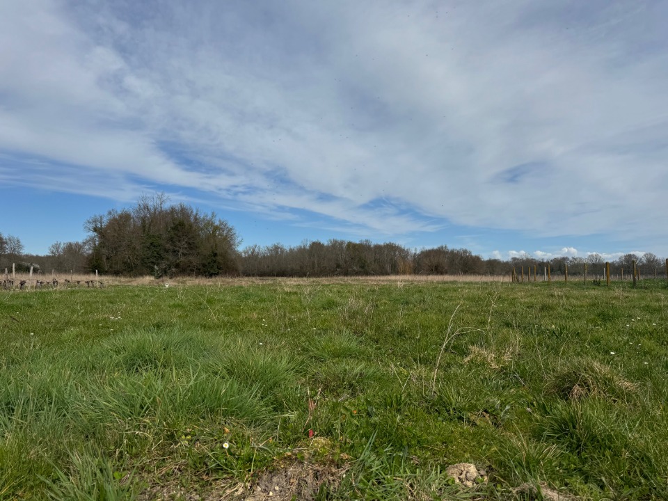 Ravissant terrain à batir viabilisé en vente à Civrac-en-Médoc