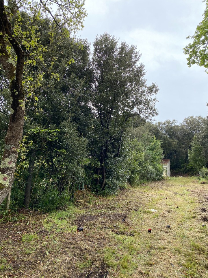 Charmant terrain à batir disponible à Saint-Georges-d'Oléron