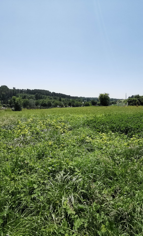 terrain viabilisé en vente à Montagnac-d'Auberoche (24210)