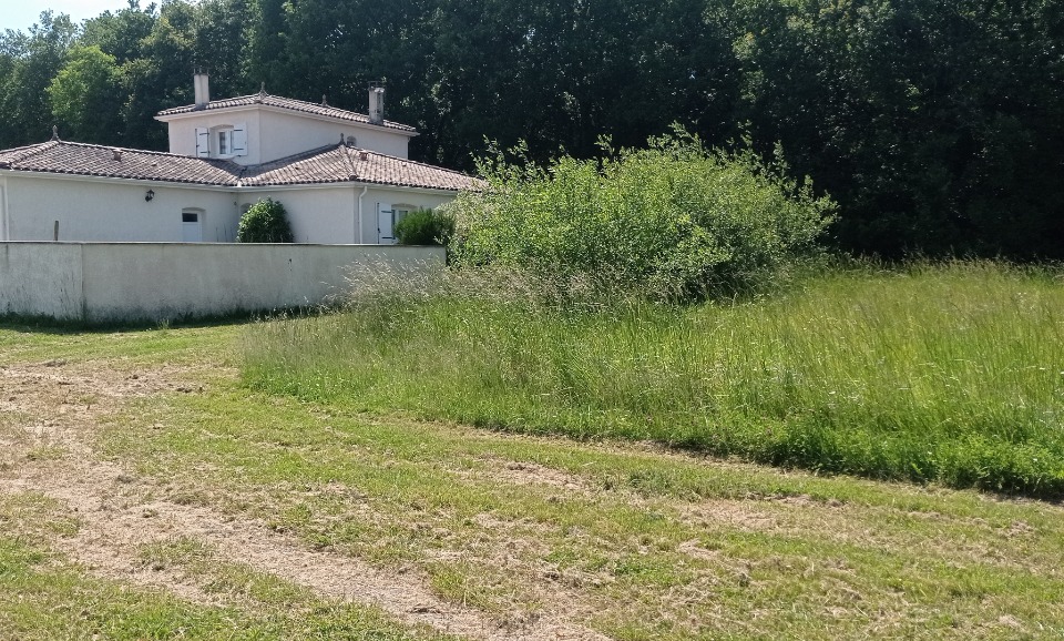 terrain à construire de 1000m2 en vente à Saint-Sulpice-de-Royan (17200)