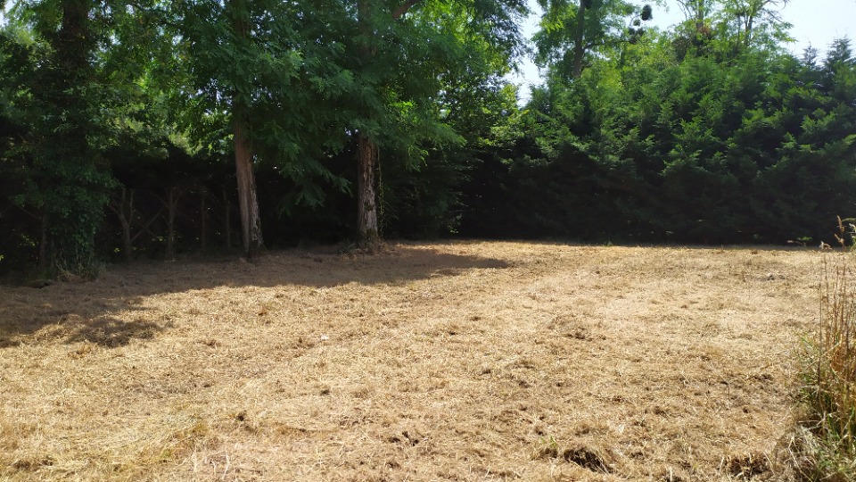 terrain à construire viabilisé de 540m2 à Langon (33210)