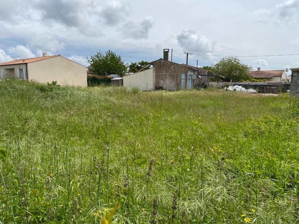 terrain à vendre viabilisé en vente à Chaniers