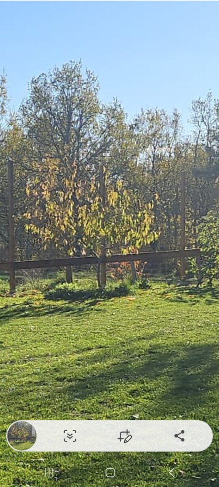 terrain viabilisé de 860m2 à Louchats (33125)