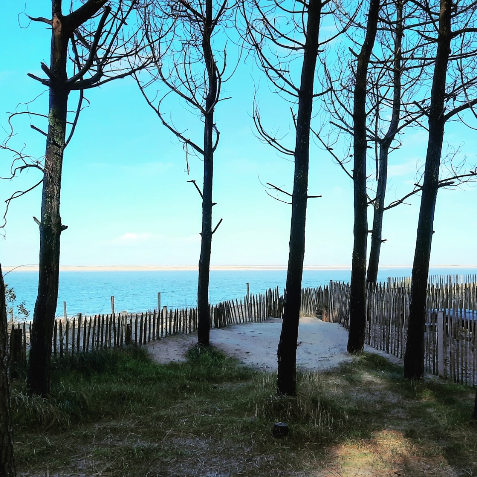 terrain viabilisé de 1300m2 disponible à Pyla-sur-Mer (33115)